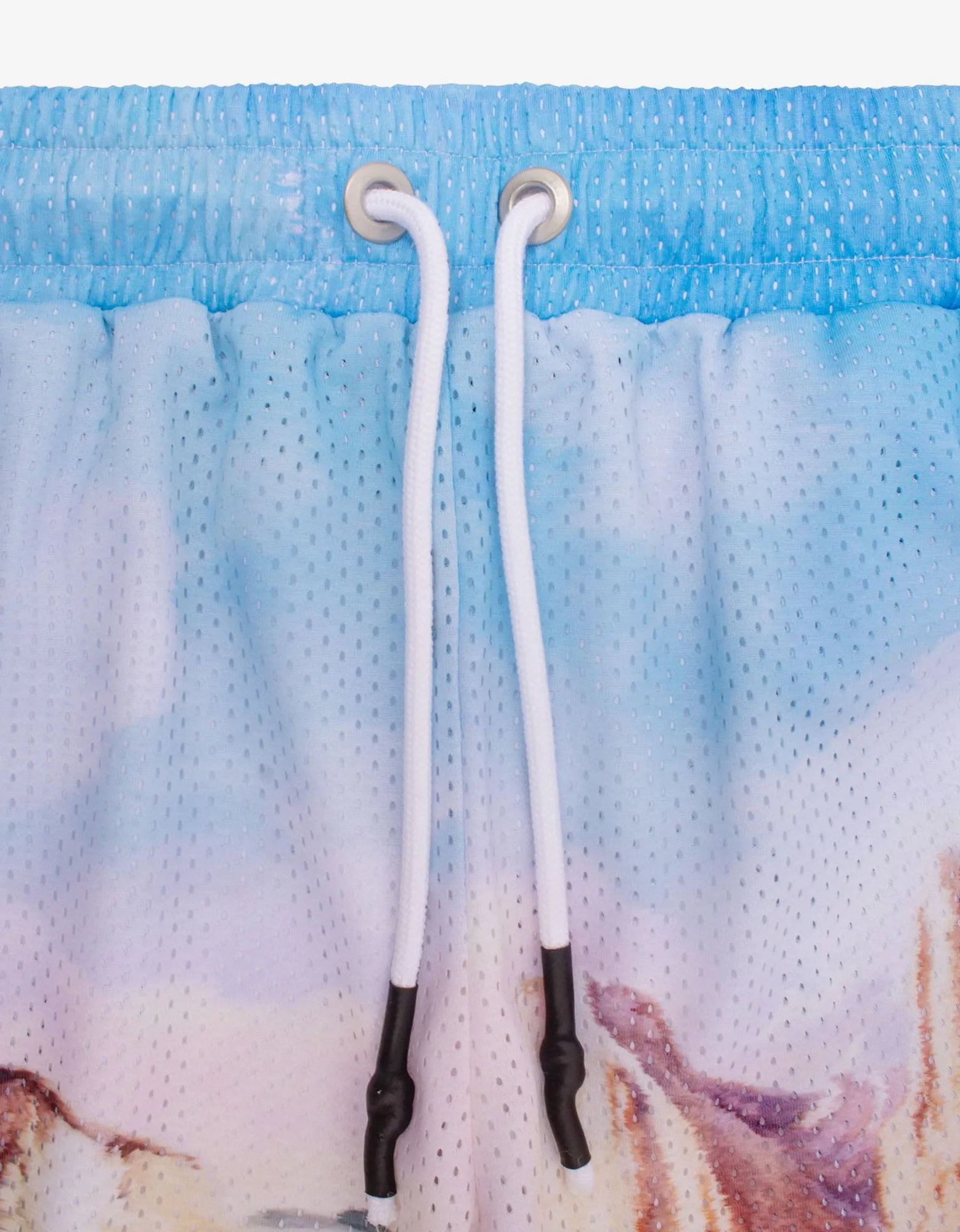 Blue Canyon Mesh Shorts