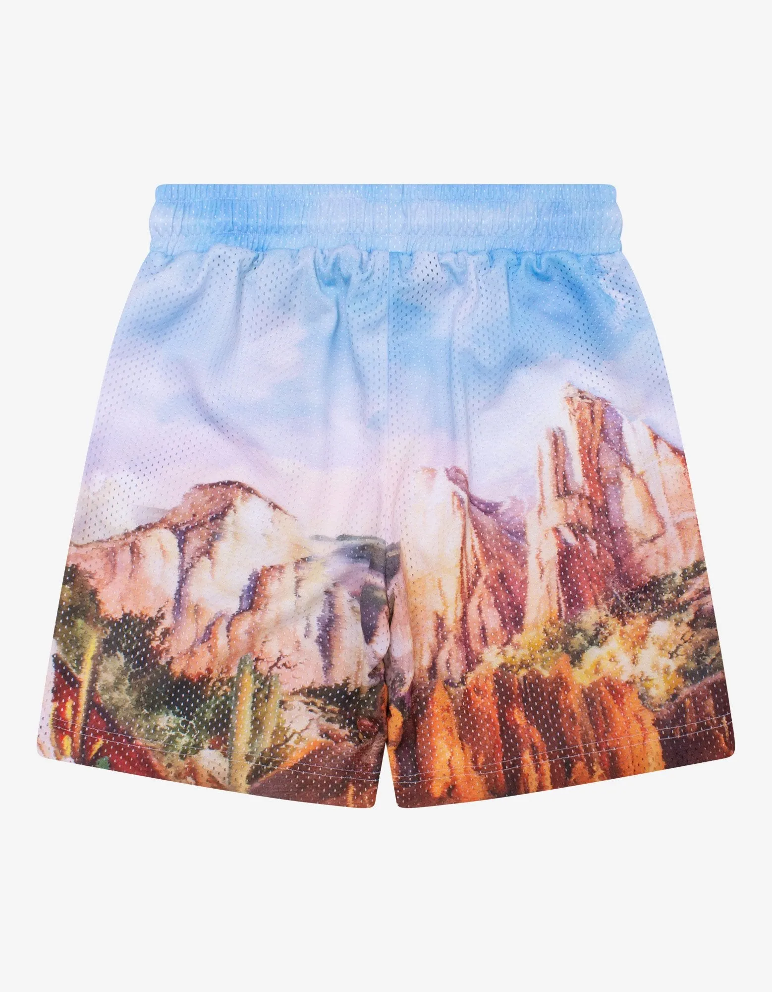 Blue Canyon Mesh Shorts