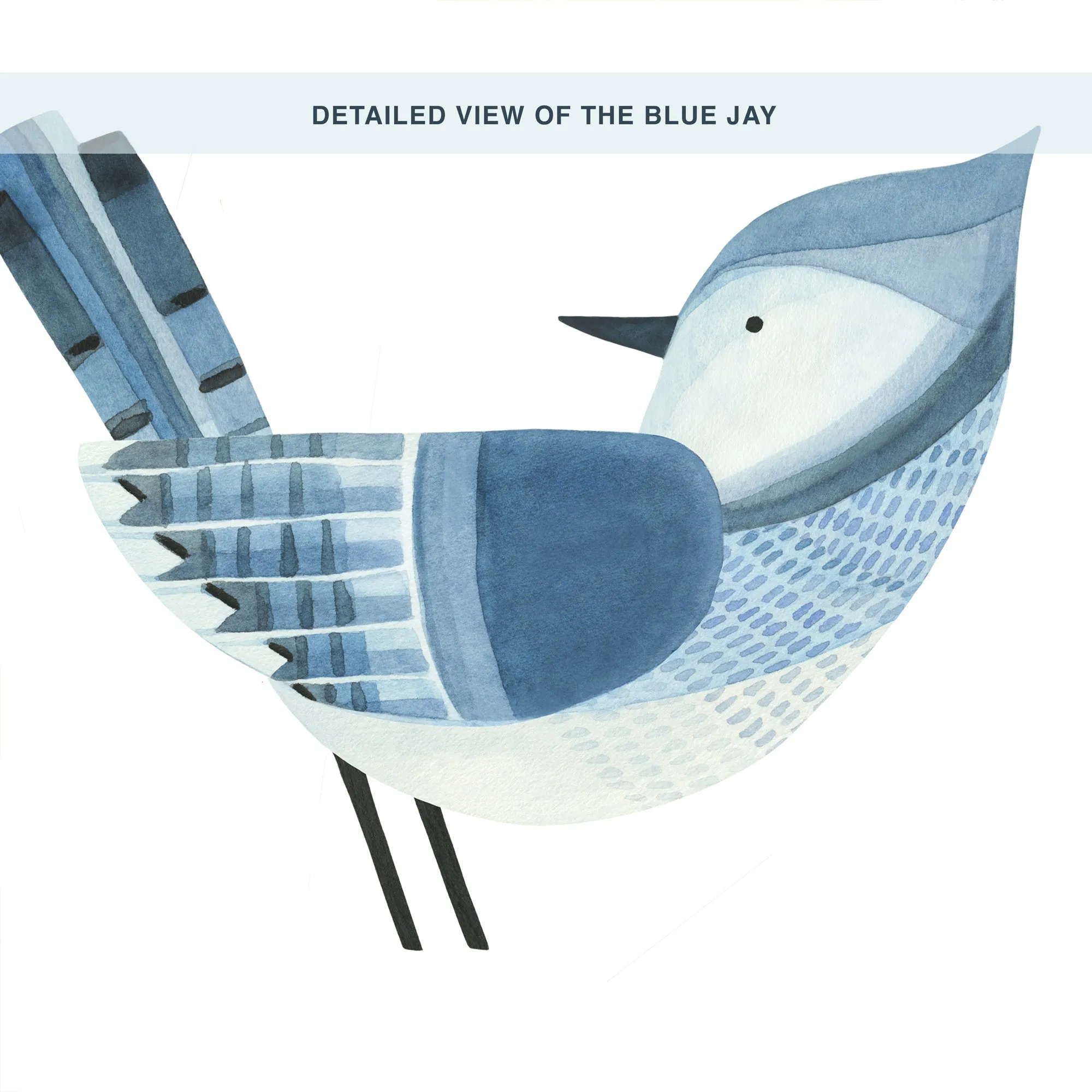 Blue Jay Wall Decal Set