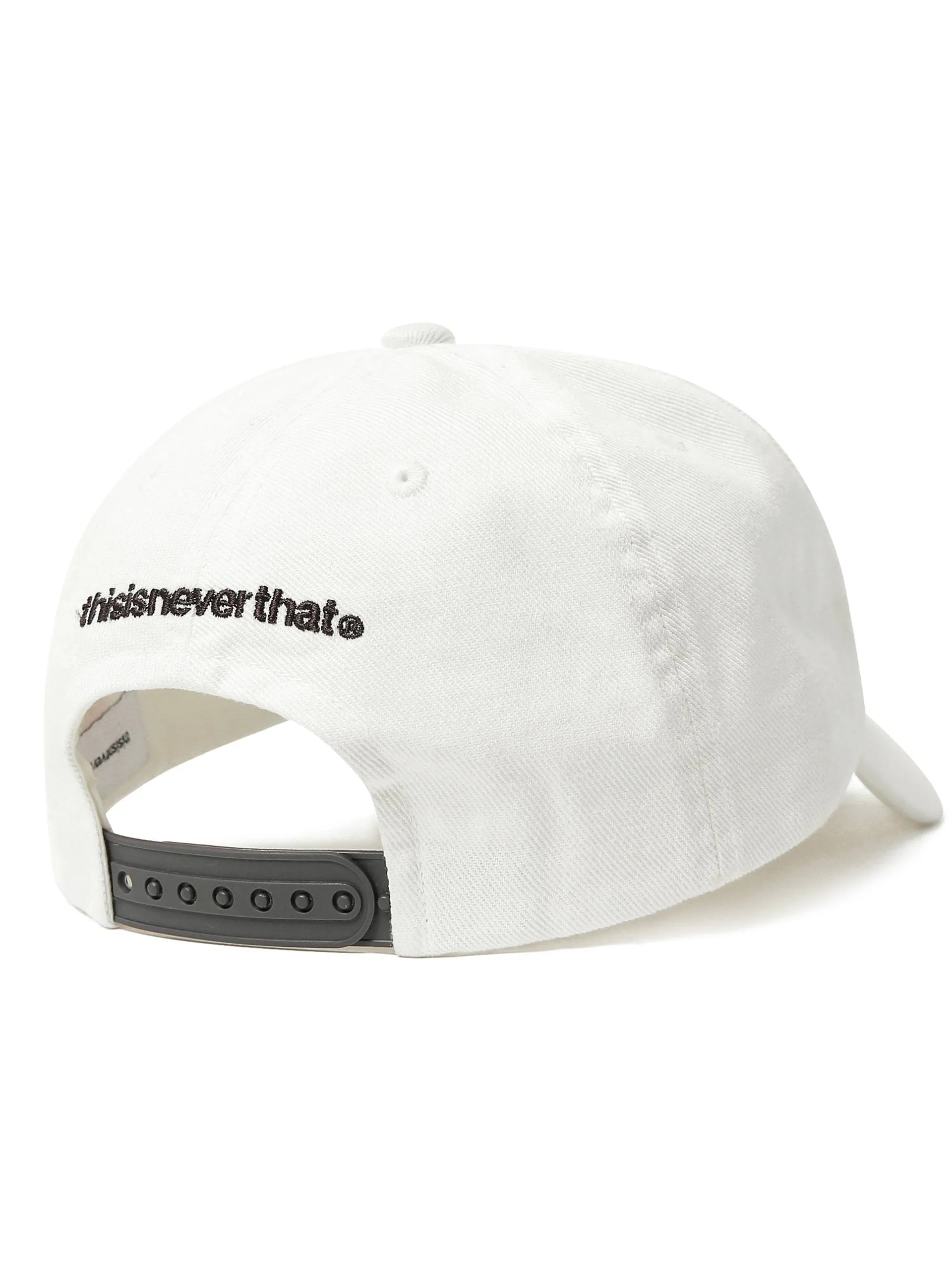 Palm Trucker Cap