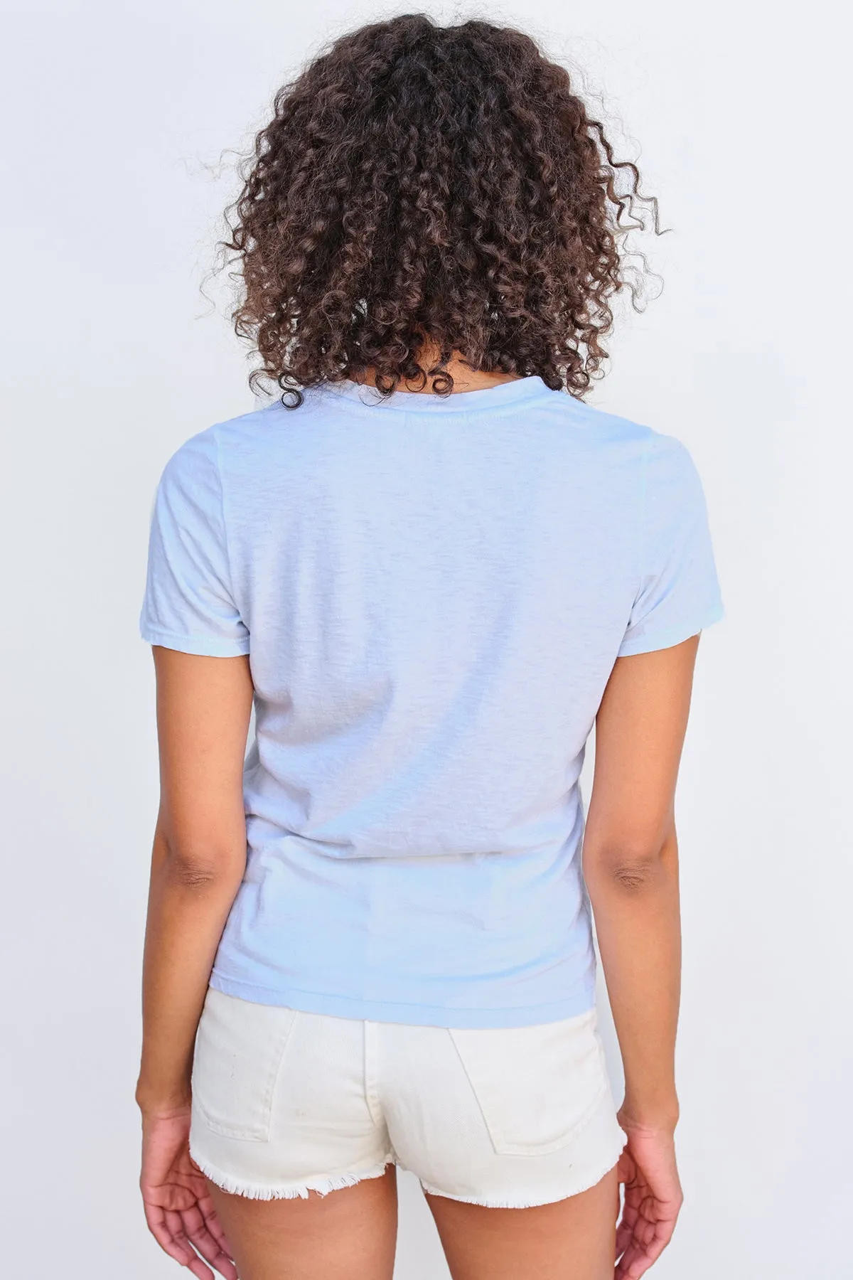 Sundry Palm Tree V-Neck in Sky